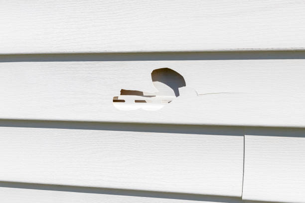 Seven Corners, VA Siding Installation & Repair Company