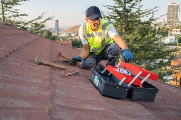 Best Historical Building Siding Restoration  in Seven Corners, VA